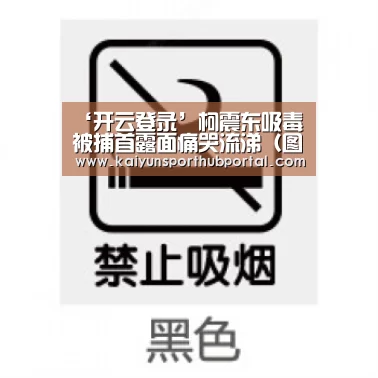 ‘开云登录’柯震东吸毒被捕首露面痛哭流涕(图) 曾坚定的说“我不吸毒”(图2) 开云体育高清直播