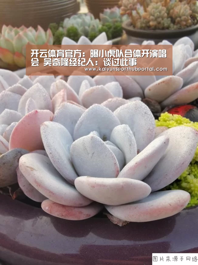 开云体育官方:曝小虎队合体开演唱会 吴奇隆经纪人:谈过此事(图1) 开云体育高清直播