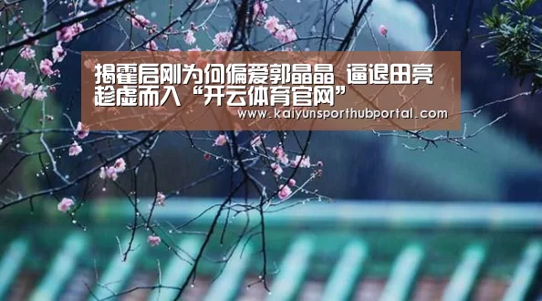 开云登录