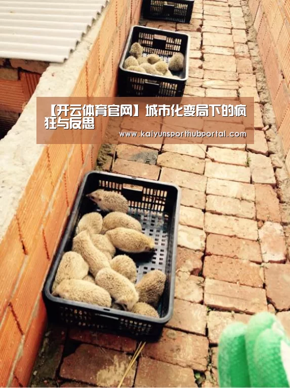 【开云体育官网】城市化变局下的疯狂与反思(图2) 开云体育官方